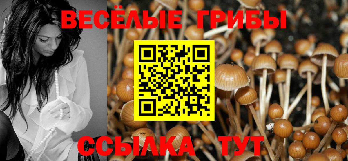Великие Луки  сколько стоит  Вход с VPN  Псилоцибиновые грибы ЛСД 